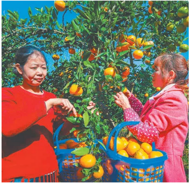 1541128338572074.png 1541128338572074.png