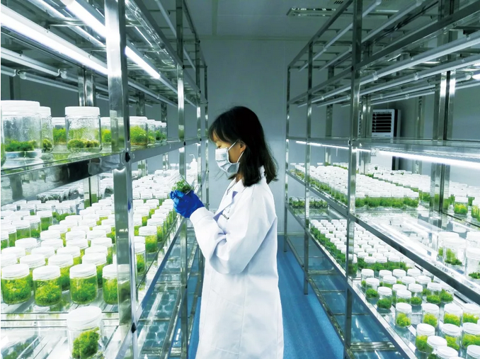 1542339565260561.png 1542339565260561.png