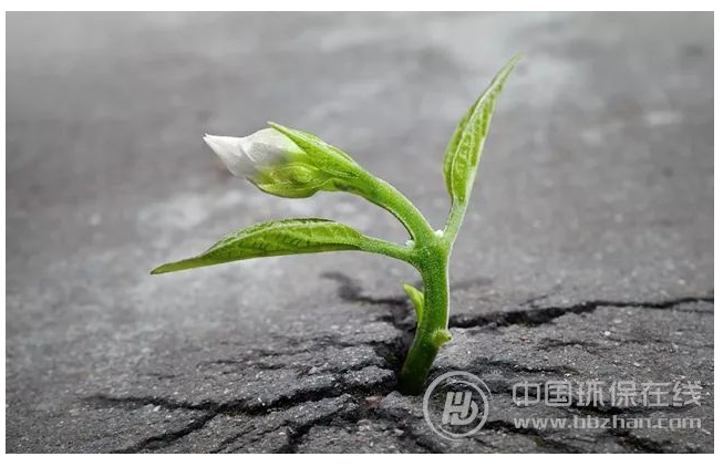 1544494567410453.png image.png