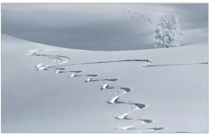 1545095403142056.png 1545095403142056.png